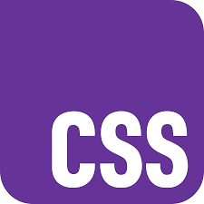CSS logo